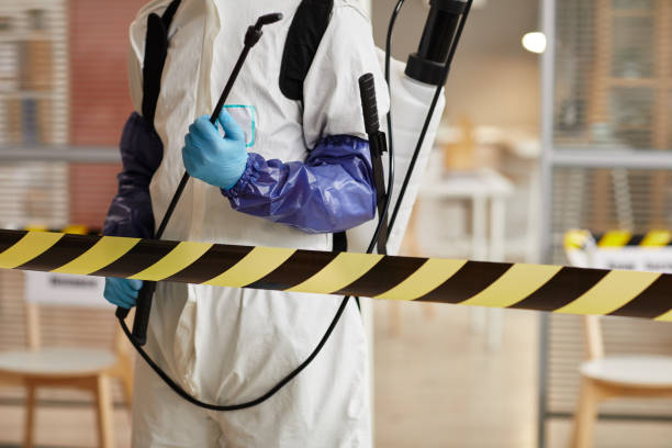Professional Odor Removal technician working in Stockton, IL